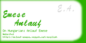 emese anlauf business card